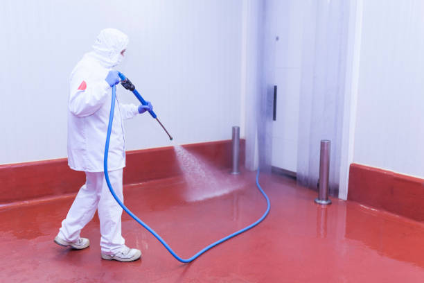Best Paint Preparation  in Franklin Park, NJ